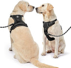 NESTROAD No Pull Dog Harness,Adjustable Oxford Dog Vest Harness with Leash,Reflective No-Choke Pet Harness with Easy Control Soft Handle for Small Dogs(X-Small,Black)