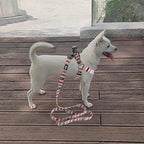 QQPETS Dog Harness Leash Set Adjustable Heavy Duty No Pull Halter Harnesses for Small Medium Large Breed Dogs Back Clip Anti-Twist Perfect for Walking