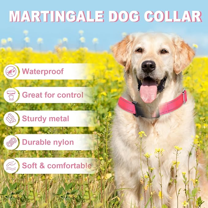 Martingale Collar for Dogs,Reflective Martingale Dog Collars with Quick Release Buckle,Adjustable Nylon No Pull Dog Collar for Dogs Walking Training (Orange, Large)
