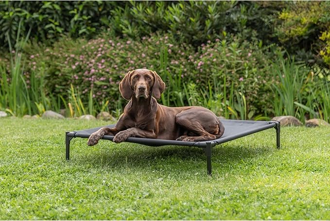 Trixie 2-in-1 Dog House and Bed - Elevated Indoor/Outdoor Tent with Removable Cover - Waterproof and Sun-Resistant - for Large Dogs up to 100 lbs - 39.4 x 35.4 x 48.8 in