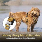 PawsPassion Dog Harness for Medium Dogs, No Pull Dog Harness Easy Walk with Metal Hardware, Ergonomic Y-Shaped Design, Soft Padding, Padded Handle, Durable High-Tensile Nylon (Sunrise, M)