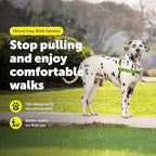 PetSafe Easy Walk Deluxe Dog Harness, No Pull Dog Harness – Perfect for Leash & Harness Training – Stops Pets from Pulling and Choking on Walks – Large, Apple