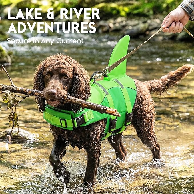 ASENKU Dog Life Jacket - Pet Safety Vest for Swimming & Boating, Shark Life Jacket with Floatation, Dog Lifesavers Swimsuits for Small Medium Large Dogs (Neongreen, XL)