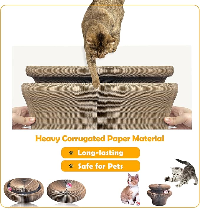 Magic Organ Cat Scratching Board & Interactive Toy Set - Durable Cardboard Scratcher with Scratching Ball for Indoor Cats - Mental & Physical Exercise for Kittens & Adult Cats