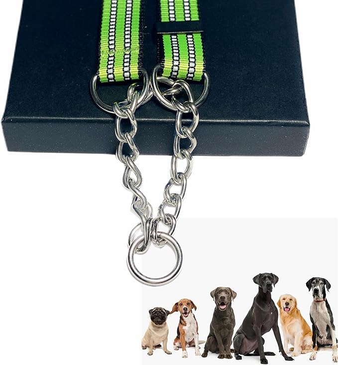 Martingale Collars for Dogs, Heavy Duty Stainless Steel Chain Training Collar, Reflective Nylon Adjustable Collar with Quick Release Buckle, Suitable for Puppy Medium Large Dogs (Green, L)