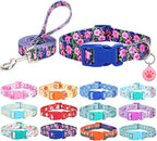 Dog Collar with Leash Airtag Holder Case Set - Dog Collars for Male Female Boy Girl Puppy X-Small Small Medium Large Dogs Walking Running Training - Daisy/XS