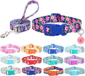 Dog Collar with Leash Airtag Holder Case Set - Dog Collars for Male Female Boy Girl Puppy X-Small Small Medium Large Dogs Walking Running Training - Daisy/M