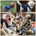 Cool Dog Jean Jacket Small Puppy Outfits Frenchie Clothes Denim Coats for Small Medium Dogs Cats Boys Girls Pet Vest Dog Shirt Clothing Doggy Costume (Blue, XXL（Suggest 15-20 lbs）)