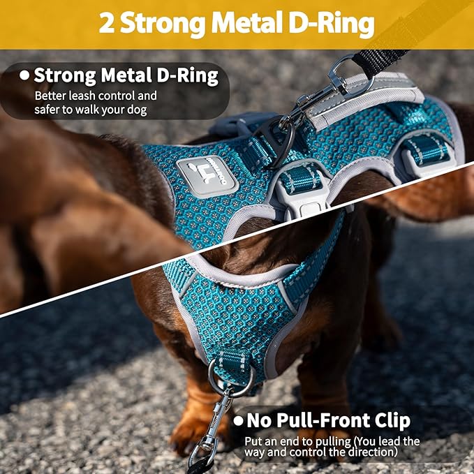 Huntboo Escape Proof Dog Harness, No Pull Reflective Harness with Lift Handle, Adjustable Pet Vest with Front and Back Leash Clips for Small Medium Large Dogs Walking Hiking Training (Teal,L)