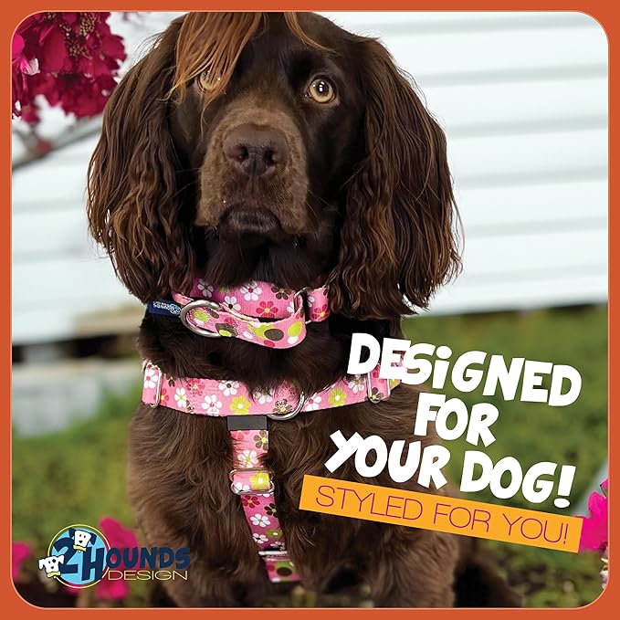 2 Hounds Design - Freedom No-Pull Harness & Training Leash in Pink Daisy | Dual Leash Loops, No Pulling on Walks | Lined to Prevent Chaffing | for Large Sized Dogs (Size L, Chest 28”- 32”)