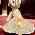 Lolita Luxury Dog Princess Dress for Small Dogs Girls,Embroidered Sweet Pet Clothes Wedding Birthday Party Puppy Dresses,Cat Apparel Accessories Costumes Outfit Skirt（Medium）