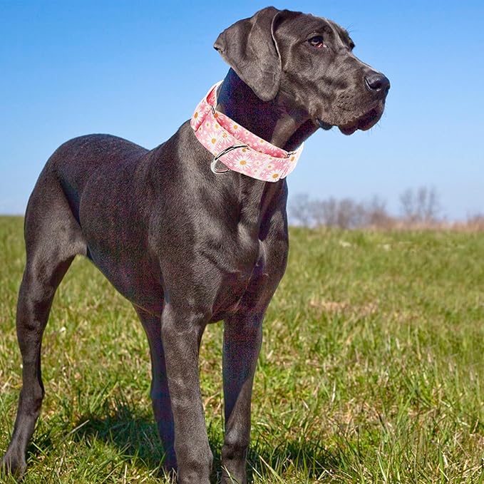 Wide Martingale Collar for Dogs -1.5 Inch Dog Training Collar - Big, & Thick Dog Collar - Escape-Proof, Durable and Comfortable - Pink Daisy L