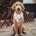 Realeaf Fathers Day Dog Bandanas 2 Pack, Reversible I Love My Dad Pet Scarf for Boy and Girl, Premium Durable Fabric, Bandana for Small Medium Large and Extra Large Dogs (Large)
