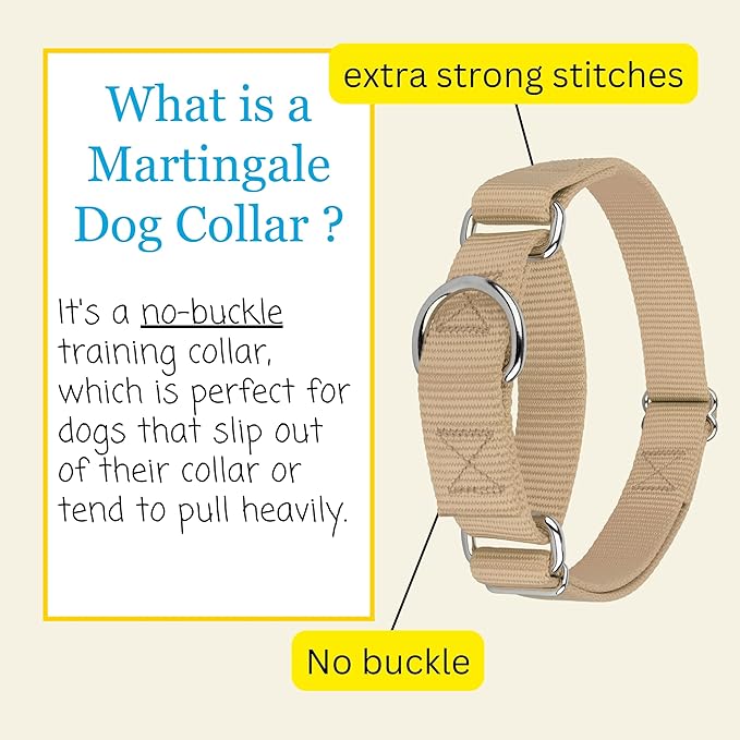 Country Brook Petz - Martingale Dog Collar - Heavy-Duty Training Collar with No Buckle - Service Dog Collar for All Pups - 10+ Warm Colors (Copper Gold, 3/8 Inch, 2XS)