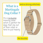 Country Brook Petz - Martingale Dog Collar - Heavy-Duty Training Collar with No Buckle - Service Dog Collar for All Pups - 10+ Warm Colors (Copper Gold, 3/8 Inch, 2XS)