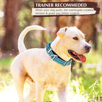 Martingale Collar for Dogs -Reflective Nylon No Slip Choke with Padded Comfort Heavy Duty Dog Collar with Quick Release Buckle for Training, Walking & Overexcited Pulling Blue M