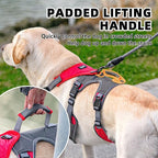 PUPTECK Escape Proof Dog Harness and Leash Set Upgraded No Pull Reflective Dog Vest with Lift Handle, Easy Control Pet Harness for Medium Large Dogs Training Walking Running
