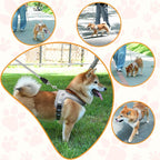 Dog Harness and Leash Set, No Pull Saddle Style Pet Harness, Breathable Mesh Adjustable Reflective Dog Vest for Dogs and Cat Medium Small Harness 2 D-Rings (Grey, L)