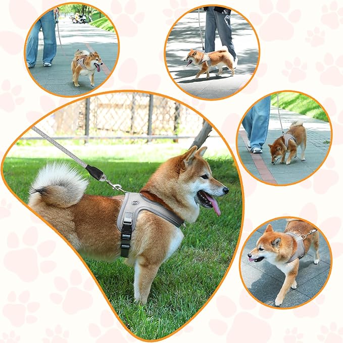 Dog Harness and Leash Set, No Pull Saddle Style Pet Harness, Breathable Mesh Adjustable Reflective Dog Vest for Dogs and Cat Medium Small Harness 2 D-Rings (Grey, L)