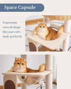 Modern Cat Tree for Large Cats, Modern Cat Tree Tower with Wide Shelves Cotton Scratching Posts, Super Sturdy Base, Cozy Perches, and Interactive Toys for Indoor Kittens 31-Inch