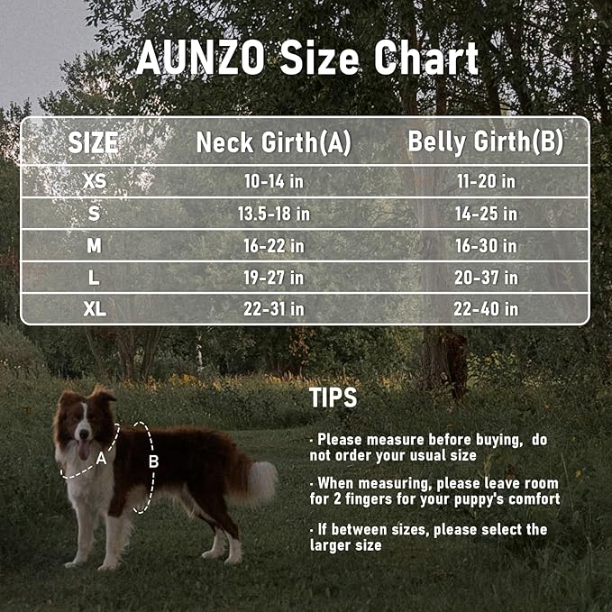 Tactical Dog Vest Harness No Pull Easy Walker Pet Harness for Walking Training Hiking for M Sized Dogs with 2 Leash Clips 3 Buckles Reflective Strip Soft Padded Handle, Tribal, French Bulldog
