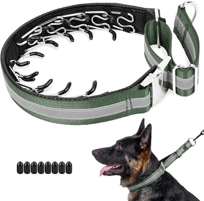 Mayerzon Martingale No Pull Collar for Large Medium Dogs, Patented Dog Walking Training Collar for Pulling, 1.5'' Wide Alloy Buckle, Neoprene Padded, Adjustable, Reflective, Easy to Use(XL, Green)