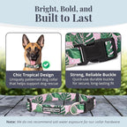 Lucky Love Dog - Adjustable Dog Collar with Easy Click Buckle for Large Ones, Durable, & Comfortable for Male & Female Dogs, Pet Collar for Puppies & Adult Dogs - Laguna, Large