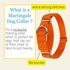 Country Brook Petz - Martingale Dog Collar - Heavy-Duty Training Collar with No Buckle - Service Dog Collar for All Pups - 10+ Warm Colors (Orange, 5/8 Inch, Extra Small)