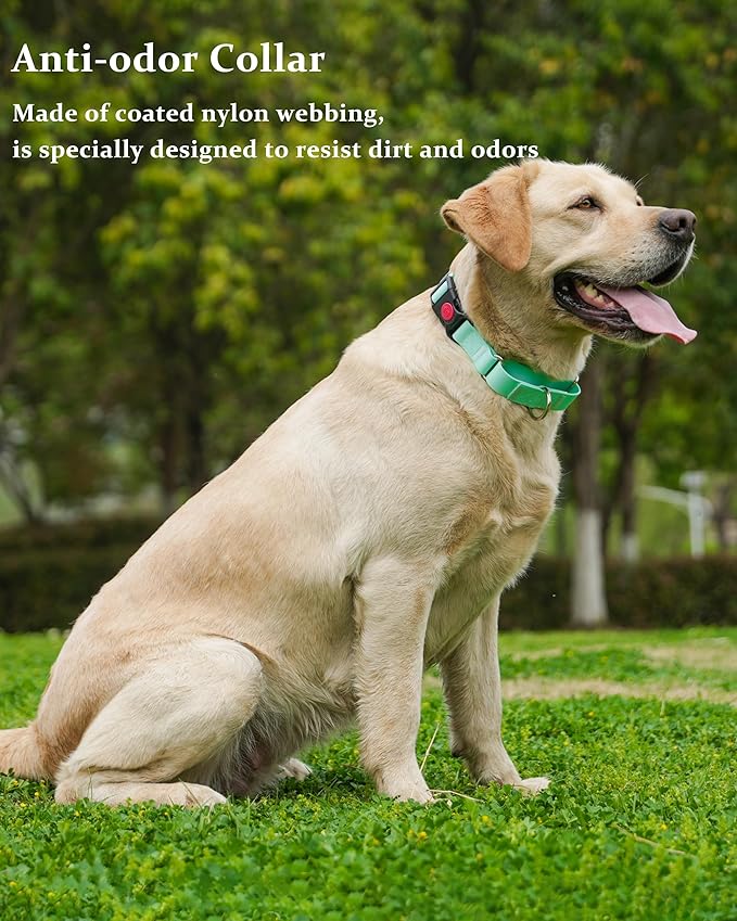 Waterproof Martingale Collar for Dogs,Easy to Clean Dog Collars with Safety Quick Release Buckle,Rubber Collar for Medium Large Dogs Walking Training (Mint Green, L (19.6-25.9inch))