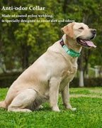 Waterproof Martingale Collar for Dogs,Easy to Clean Dog Collars with Safety Quick Release Buckle,Rubber Collar for Medium Large Dogs Walking Training (Mint Green, M (16.5-20.8inch))