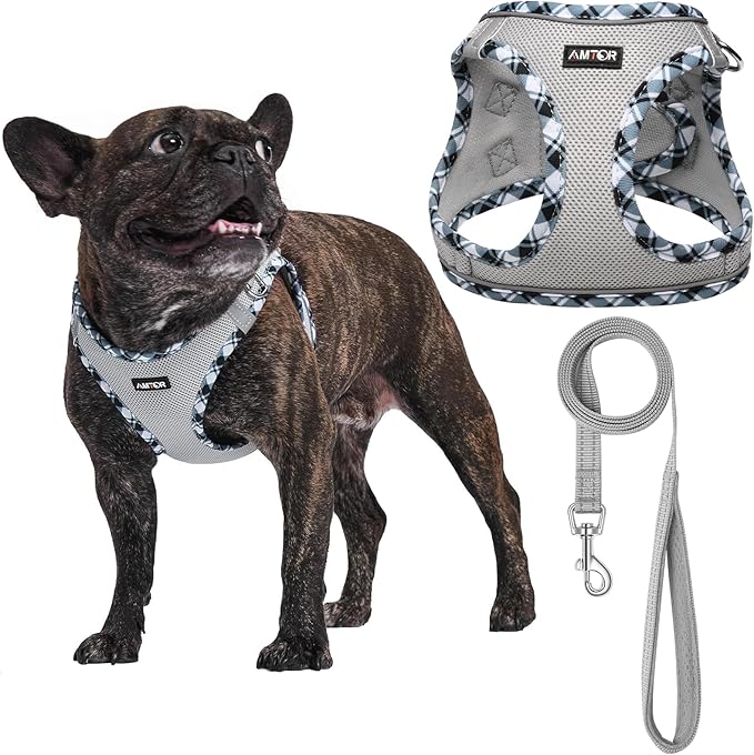 AMTOR Small Dog Harness with Leash Set, No Escape Easy Walk Puppy Harnesses for Training Walking, Step-in Reflective Soft Dogs Vest for XS S Medium Extra-Small Large Sized Dog(XL,Grey)