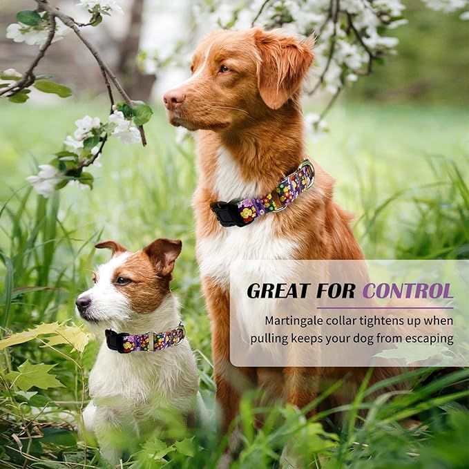 Hikiko Martingale Collar for Dogs Cute Floral Dog Collar for Small Medium Large Dogs Special Design Fancy Dog Collars for Girl Boy Pet (Purple Flower,Large)