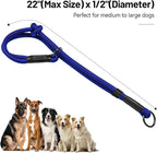 Slip Dog Collar, Nylon Rope Dog Choker Collars with Adjustable Stopper, Heavy Duty Collar for Medium Dog Training (Blue)