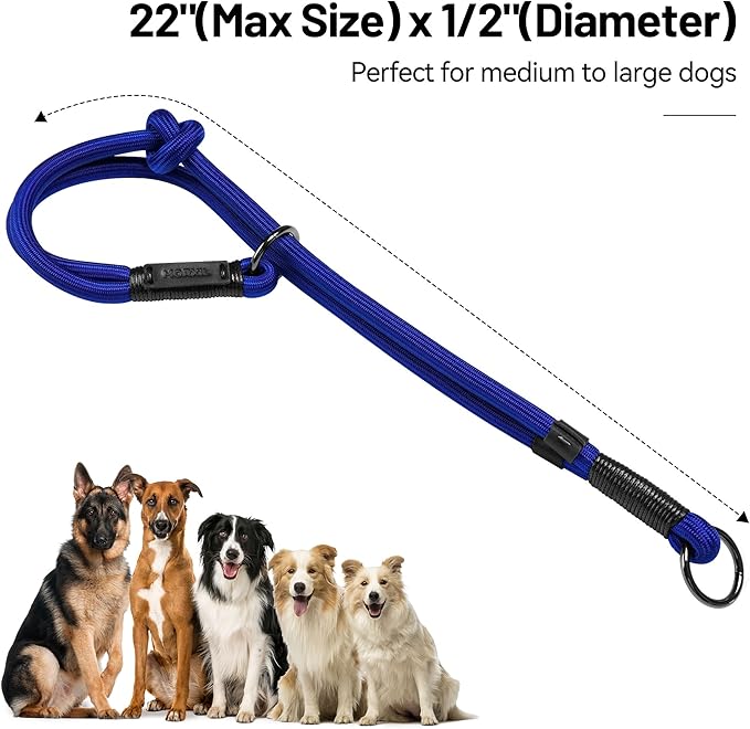 Slip Dog Collar, Nylon Rope Dog Choker Collars with Adjustable Stopper, Heavy Duty Collar for Medium Dog Training (Blue)