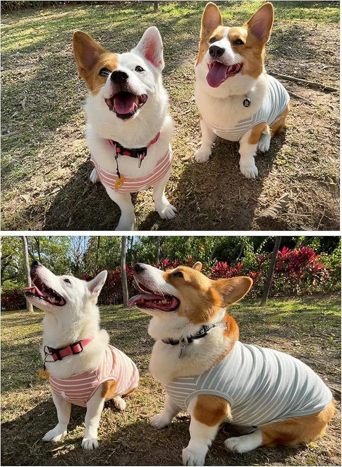 Koneseve Dog Shirt Vest Lightweight Stretchy Dog T-Shirts Soft Cool Sleeveless Stripe Vests Breathable Clothes for Puppy Kitty Cats Small Medium Large Dogs 2 Pack Pink + Green [ S/Small ]
