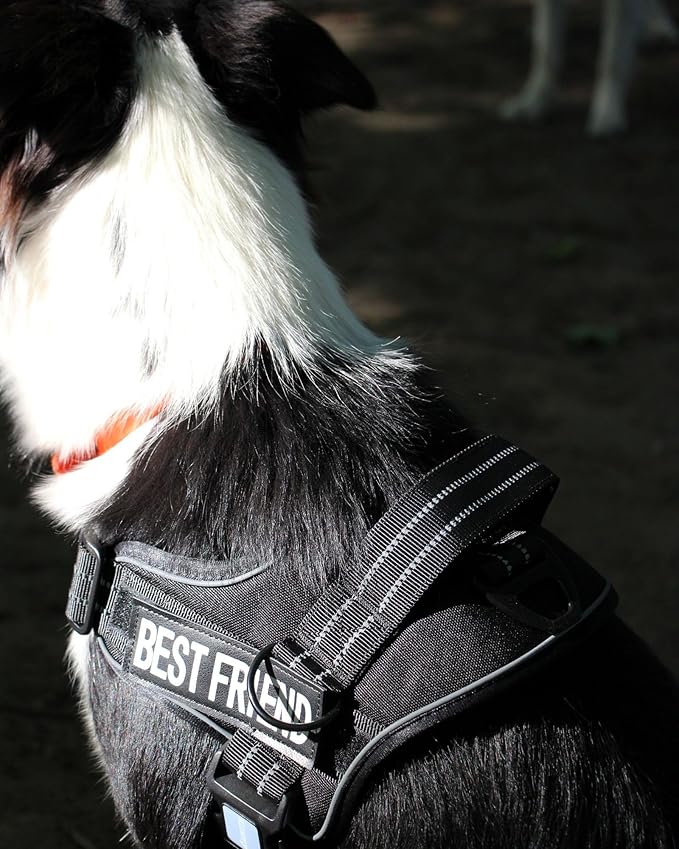AUROTH Dog Harness and Leash Set, Soft Padded Service Dog Vest with 5.25FT Dog Leash, No Choke, Easy On Pet Vest, Adjustable Reflective No Pull Dog Harness for Large Dogs, Easy Walking and Training