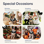 Supet Dog Tuxedo and Bandana Set with Bow Tie, Formal Outfit for Wedding Birthday Party Graduation Valentines, Pet Suit Clothes for Large Medium Small Dogs (Black, M)