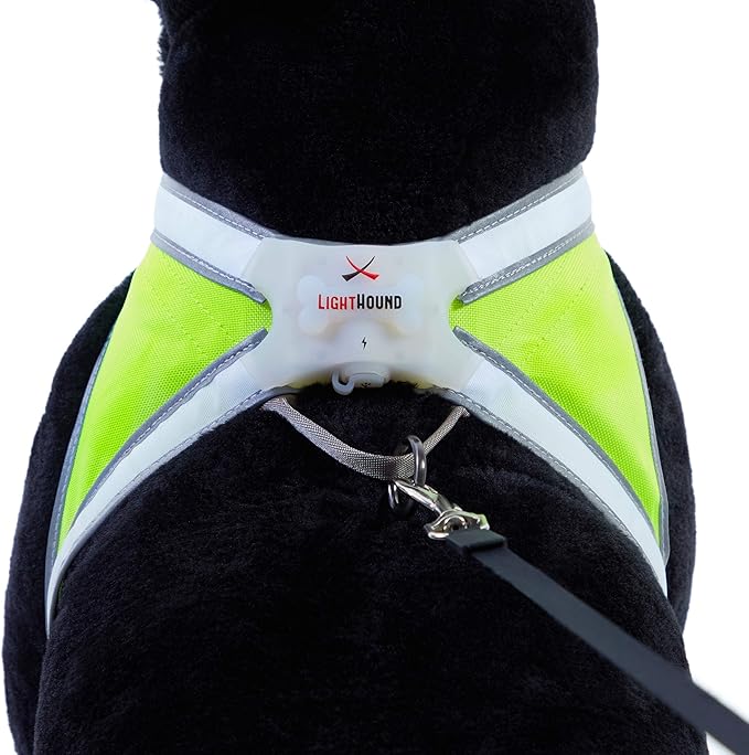 Noxgear LightHound - Revolutionary Illuminated and Reflective Vest for Dogs Including Multicolored LED Fiber Optics (USB Rechargeable, Adjustable, Lightweight, Rainproof) (Medium)