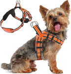 Dog Harness for Small Dogs Back D-Ring Control No Choking Pressure-Free Chest Design Comfortable Padded Adjustable Reflective Vest Harness for Daily Walks Training Easy Control Outdoor Use Secure Fit