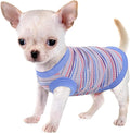 Elevate Your Pet's Comfort and Fashion: Premium 100% Cotton Rib Dog Shirt Vest for Small Breeds Like Chihuahuas, Yorkies, and Puppies .Year-Round Style with Tank-Style Puppy Attire Blue Medium
