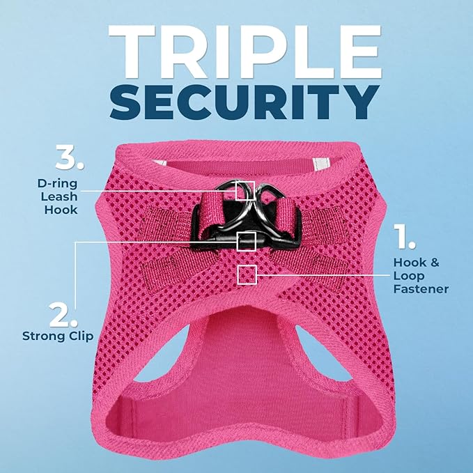 Best Pet Supplies Voyager Step-in Air All Weather Mesh Harness and Reflective Dog 5 ft Leash Combo with Neoprene Handle, for Small, Medium and Large Breed Puppies - Set (Fuchsia), S
