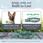 Lucky Love Dog Martingale Collar, Premium No Slip Martingale Collar for Large Boy Dogs, Great for Whippets, Greyhounds, and More (Large, Blue Laguna)