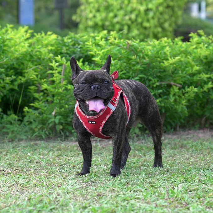 AMTOR Small Dog Harness with Leash Set, No Escape Easy Walk Puppy Harnesses for Training Walking, Step-in Reflective Soft Dogs Vest for XS S Medium Extra-Small Large Sized Dog(L Size,Red/White)