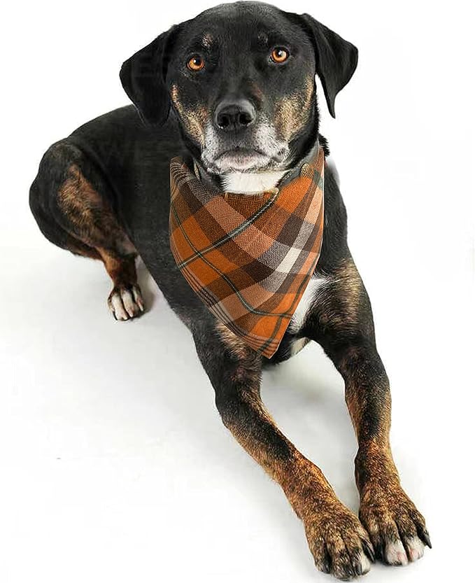 Realeaf Fall Thanksgiving Dog Bandanas 2 Pack, Orange Plaid Pet Scarf for Boy and Girl, Premium Durable Fabric, Holiday Halloween Bandana for Small and Medium Dogs (Small)
