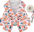 BAEJMJK Dog Harness and Leash Set with Bow Knot No Pull Pet Floral Harness with D-Ring Soft Mesh Dog Harness Vest Set Escape Proof Princess Puppy Harness for Small Girl Dogs Cats（Orange L）