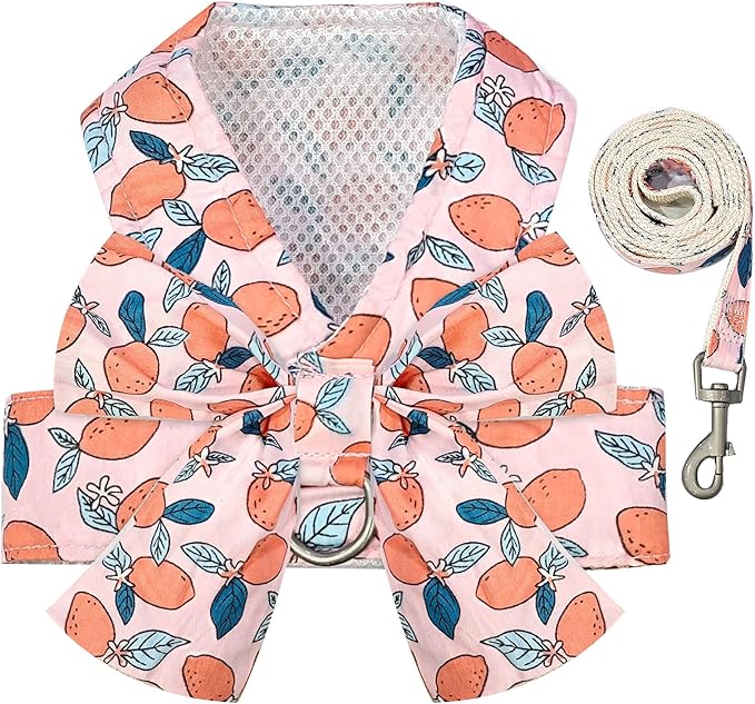 BAEJMJK Dog Harness and Leash Set with Bow Knot No Pull Pet Floral Harness with D-Ring Soft Mesh Dog Harness Vest Set Escape Proof Princess Puppy Harness for Small Girl Dogs Cats（Orange S）