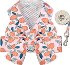 BAEJMJK Dog Harness and Leash Set with Bow Knot No Pull Pet Floral Harness with D-Ring Soft Mesh Dog Harness Vest Set Escape Proof Princess Puppy Harness for Small Girl Dogs Cats（Orange XS）