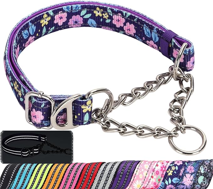 Martingale Dog Collar with Steel Chain, Adjustable Reflective Nylon & Soft Padded - for Medium, Large, XL, XXL Dogs for Training,Walking Pet Collar (Purple Flowers XL)