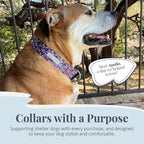 Lucky Love Dog Wide Dog Collar - Adjustable, Durable, Soft Webbing, & Comfortable 1.5 inch Wide Collar for Dogs Male and Female with Strong Buckle - Primrose, Large