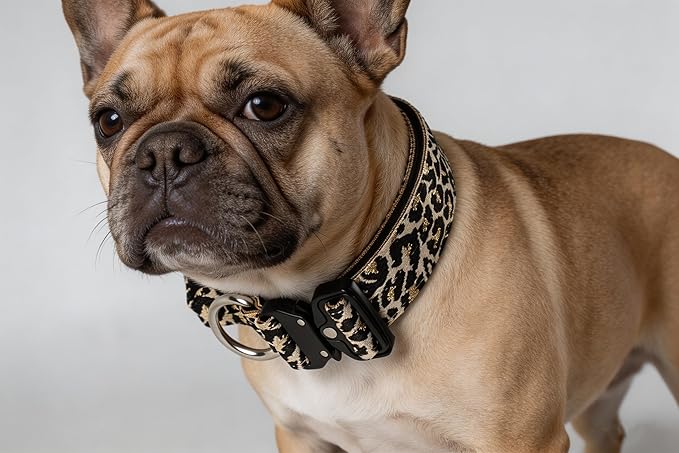 Heavy Duty Dog Collar with Unique Leopard Totem Design Adjustable Durable Nylon Collar, Metal Buckle for Large Dogs Bold Style for Training & Outdoor Adventures (Gold Leopard L)